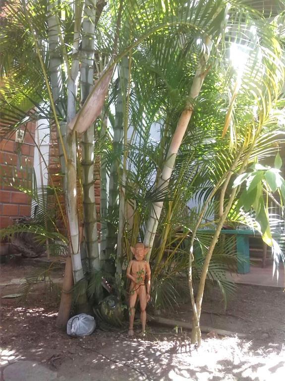 Bambu Tarapoto Hostel Bagian luar foto